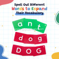 ABC Letter Learning Flashcards
